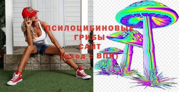 стаф Верхний Тагил