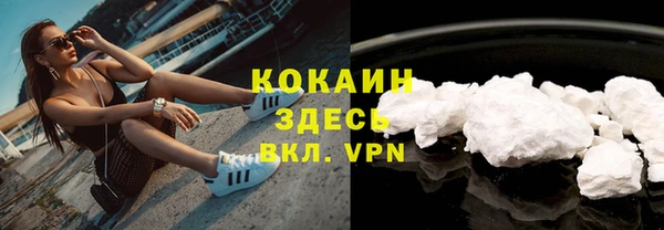 гидра Бородино