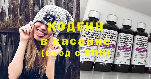гидра Бородино