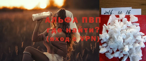 крисы Верея