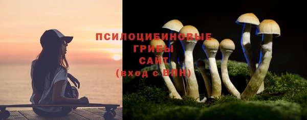стаф Верхний Тагил