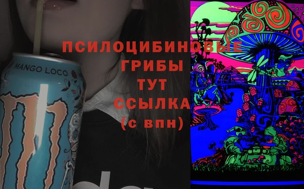 гидра Бородино