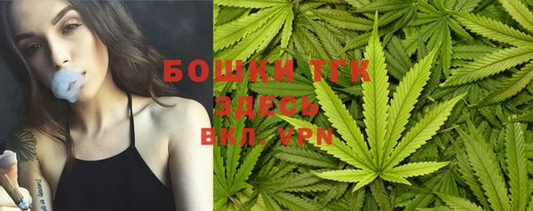 крисы Верея
